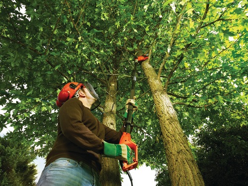 black and decker electric tree trimmer