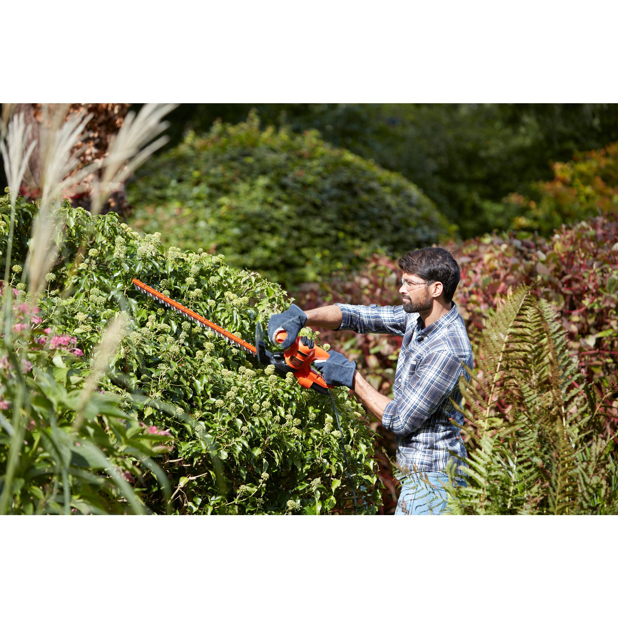 Strimmer clearance hedge trimmer
