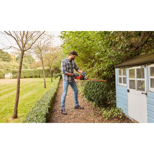 BLACKDECKER BEHTS401 hedge trimmer used on garden shrubs near a blue shed.